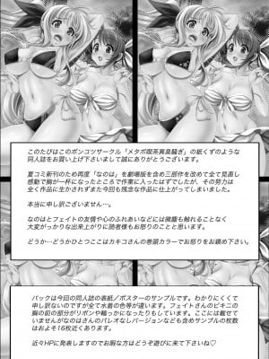 [Kouga×新桥月白日语社] (C80) [メタボ喫茶異臭騒ぎ (いたちょう、カキコ)] 南の島で危機100発 (魔法少女リリカルなのは)_34