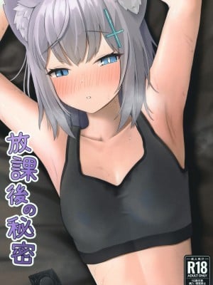 [ティアノブルー (ティアノブルー)] 放課後の秘密 (ブルーアーカイブ) [鸡斯拉汉化组] [DL版]_02