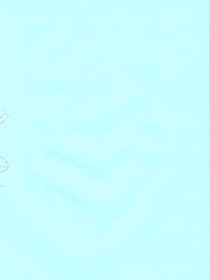 [新井大器] ただただSEXが好き_002