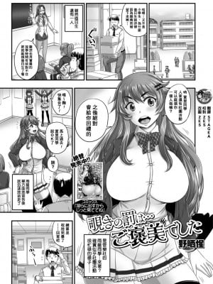 [臭鼬娘漢化組][Digital] [野晒惺] 覗きの罰は…ご褒美でした (黄金のソナタXXXその参)