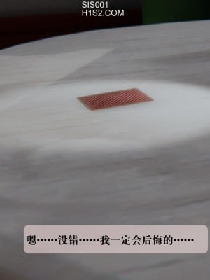[紳士皇帝劉子業] 借金母女 1-6_0638
