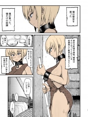 [キレイナブタ (ぶたちゃんぐ)] 異世界の女たち3.0 [DL版]_09
