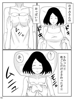 [INUKAI] 6つ違いのお義母さん_17