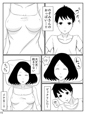[INUKAI] 6つ違いのお義母さん_16