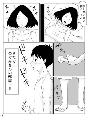 [INUKAI] 6つ違いのお義母さん_14