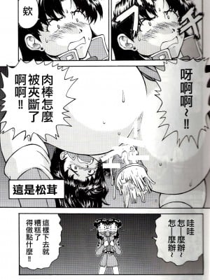 (C71) [天狗のつづら (黒てんぐ)] A wild fancy (新世紀エヴァンゲリオン) [中国翻訳]_21