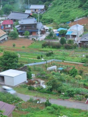 [ラチマニア共和国] 夏のわすれもの_004