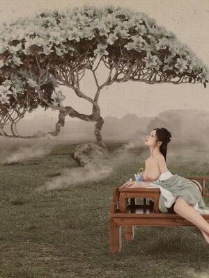 年年 - 白玉兰 Michelia_11_5