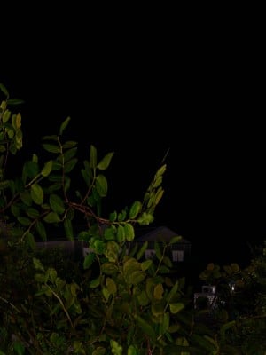 [听话的阿伟] 魔堕之欲（完）_0265