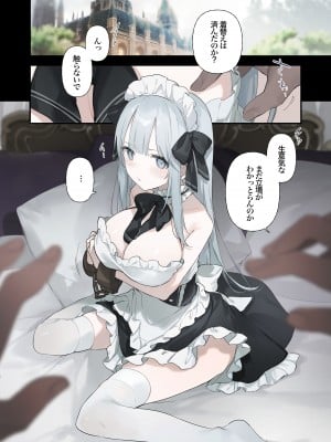 [TOZAN：BU (富士やま)] 籠絡令嬢メイド堕ち [無修正] [DL版]_21
