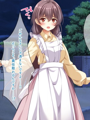 (同人CG集) [スクランブルミートボール] ふしだらなお母さんでごめんなさい〜俺のカノジョは彼女の母親〜_028