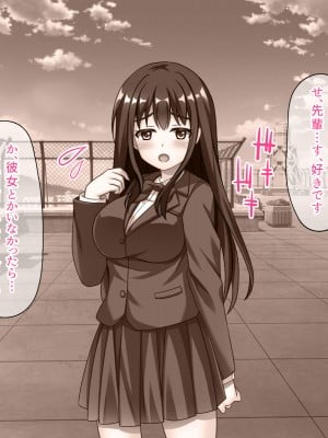 (同人CG集) [スクランブルミートボール] ヤリマンじゃないもん_004