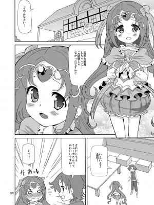 [あれ屋 (ホーミング)] プリあれ総集編 黄一色 (プリキュアシリーズ) [DL版]_35