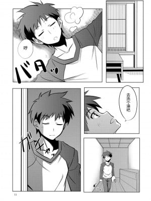 [萌の羽翼汉化组] (C78) [CROSS FIRE (Azu)] Fate／fireworks (Fate／stay night)_11