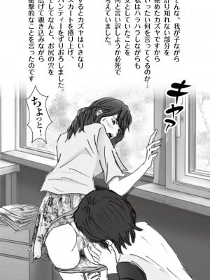 [ラプソディーズ] 清香ママは訳あり過ぎ episode 01~08_008_sayaka01_7