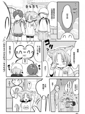 [あんのみけ] ちいきねこ ニャンちゃん [白杨柠檬茶]_13