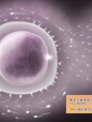 [サークルめでをい (めでをい)] 寝取られネネさん その5 〜排卵日のカノジョの子宮に大量に注がれる、中年オヤジの濃厚孕ませ種汁〜 [Minz繁體中文機翻]_424