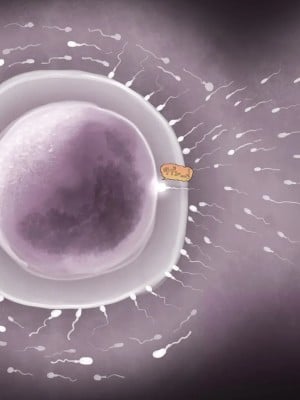 [サークルめでをい (めでをい)] 寝取られネネさん その5 〜排卵日のカノジョの子宮に大量に注がれる、中年オヤジの濃厚孕ませ種汁〜 [Minz繁體中文機翻]_423