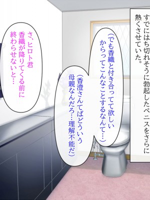 (同人CG集) [クリスタルマーメイド] 彼女のお母さんと身代わりセックスしてたら本気になっちゃった話_025