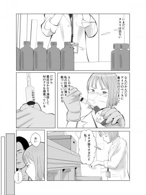 [バッドエンドドリーマー] ハメ堕とし3 ~交錯する思い, マゾ豚調教~_47