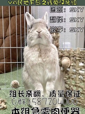 [あまぎゃっぱ (あまねさん)] 泥酔従姉で勝手におま○こしちゃうボク｜我醉酒时未经允许摩擦我的小穴的表弟 [贱兔汉化组翻译]_35
