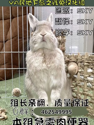 [あむぁいおかし製作所 (蜜姫モカ、ととやす)] 女体化した俺の屈辱人妻性活｜变成已婚人妻的我的羞耻性生活 [YA民地下岛之贱兔汉化组]_41