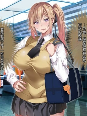 [アイチルワークス] 満員電車の中でおじさんが無理やり美少女を寝取ったりギャルを孕ませたりする話【今天開始戒擼個人機翻】_329