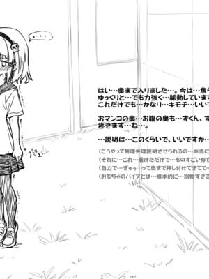[あかしろいしいし] 蟲バイブと言いなり少女_049_AKISD01_D_C001
