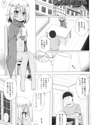 [雪野みなと] イロトリドリのことりたち_144