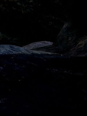 [ウキ] 不敬仙 11-17_0271