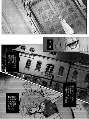 [半可通少女 (榎本尚)] 吸血鬼とメイドのみだりな吸血 [DL版]_21