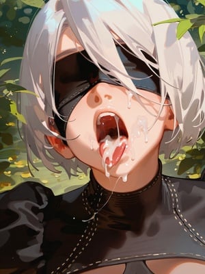 (Hedera) 2B_078