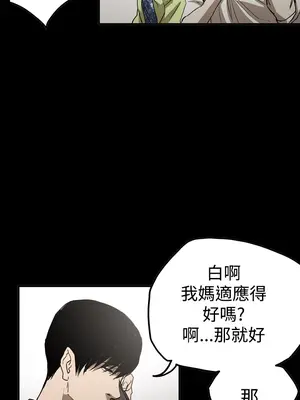 ACE：禁斷的詐欺之夜 1+2季[完結]_2030020