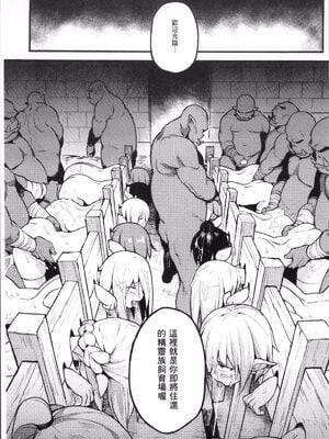 [TRY方言]エルフの使い道|精靈族的用法 (別冊コミックアンリアル 人間牧場編 Vol.7)[中国翻訳][疏碼][DL版]_011