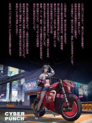 [正経同人 (彥)] CYBER BELLY PUNCH・サイバー腹パン_02