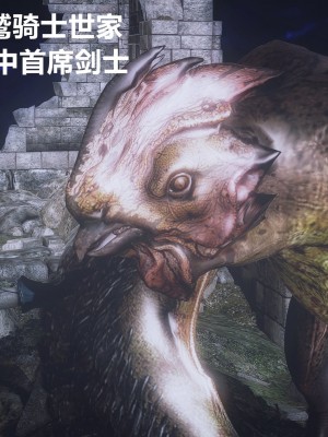 [配種站主任] 蛇鷲騎士團女劍士艾維利亞 1_003