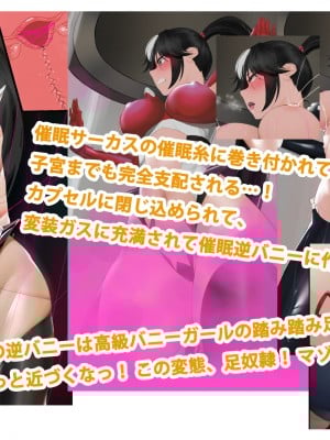 [風の奴隷] 変身戦姫敗北記録書_009