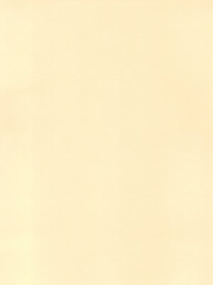 [想見茶屋 (ねもくげ)] さも孕に (サモンナイト) [中国翻訳]_04