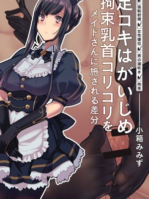 メイドと執事の奉仕事M_vol.1 Hentai Comics