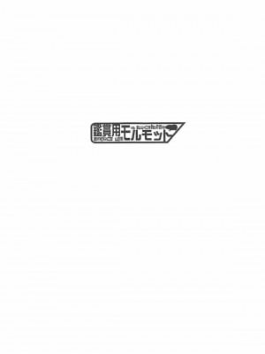 (C94) [鑑賞用モルモット (Mr.Lostman)] エレちゃんと! (Fate╱Grand Order) [中国翻訳]_02