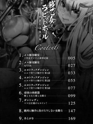 [れむ] 戦乙女とラビットホール ～税金の凌辱記録～_005
