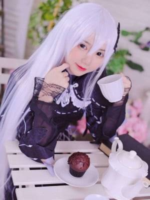 Sally Dorasnow - Echidna_Sally_Dorasnow_Echidna_2