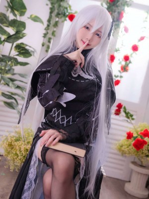 Sally Dorasnow - Echidna_Sally_Dorasnow_Echidna_10