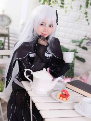 Sally Dorasnow - Echidna_Sally_Dorasnow_Echidna_12