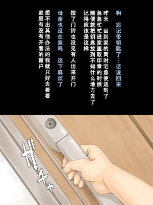 [不可视汉化][DELTA BOX  (石田麻茶行)] ボクが黙ってさえいれば+続_003