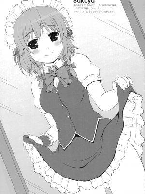 (例大祭14) (同人誌) [HEXIVISION] HEXIPRESS EX (東方) (エロ)_54