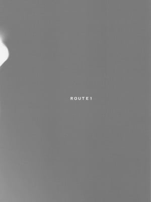 (C100) [ROUTE1 (平つくね)] 君は奴隷。 (ドラゴンクエスト ダイの大冒険)_42
