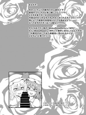 [MegaSoundOrchestra (三割引)] MSGKWR-Remy- (東方Project) [DL版]_03