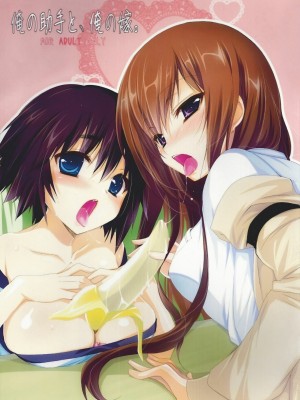 [脸肿汉化组] (CHAOS;GATE) [にのこや (にの子)] 俺の助手と、俺の嫁。 (Steins;Gate)_01