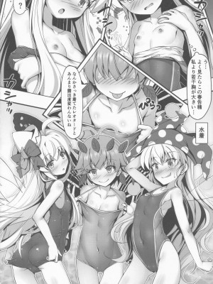 [あばらんち (チマQ)] コスプレした妖精さんを愛でる本 (東方Project)_05